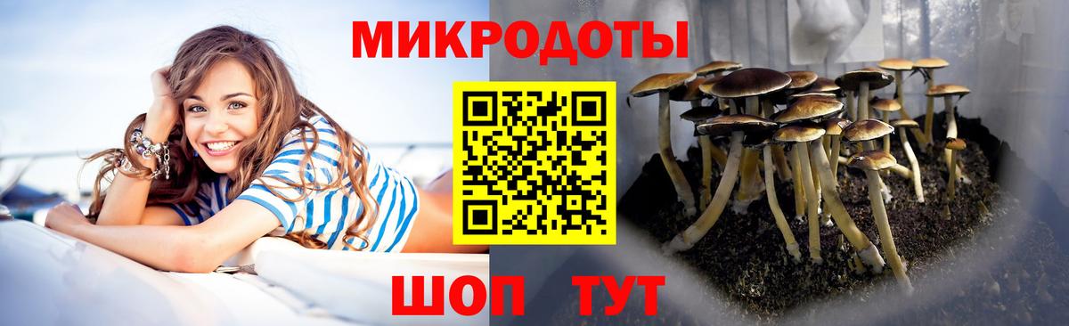 Дмитров  Галлюциногенные грибы Psilocybine cubensis  Вход с VPN 